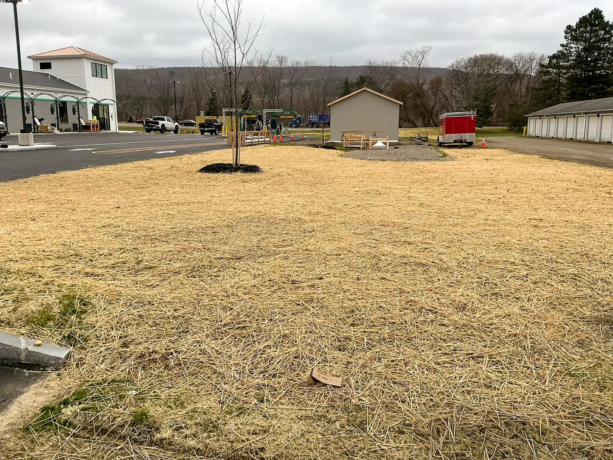 Commercial construction site with straw mulch covering disturbed soil area and newly planted trees near completed building and parking lot