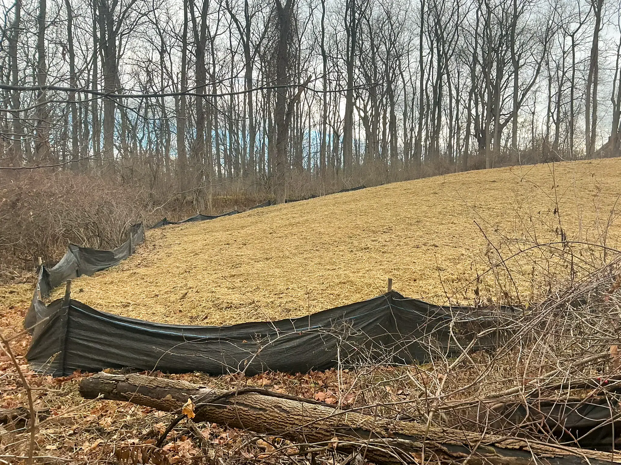 Silt fence installed along wooded perimeter of construction site with straw mulch covering sloped area for erosion control