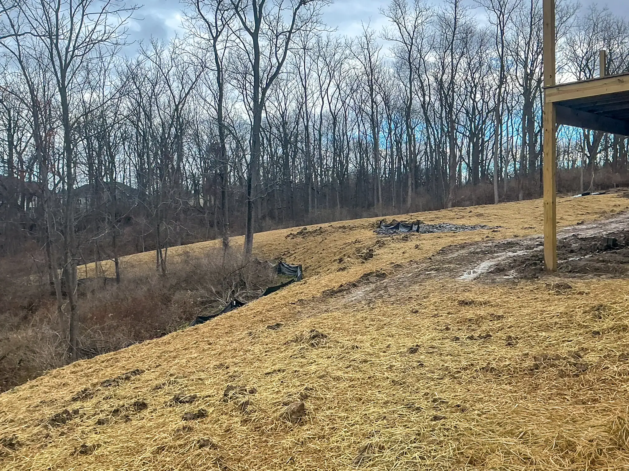 Sloped construction site covered with straw mulch for erosion control with silt fence installed along wooded perimeter
