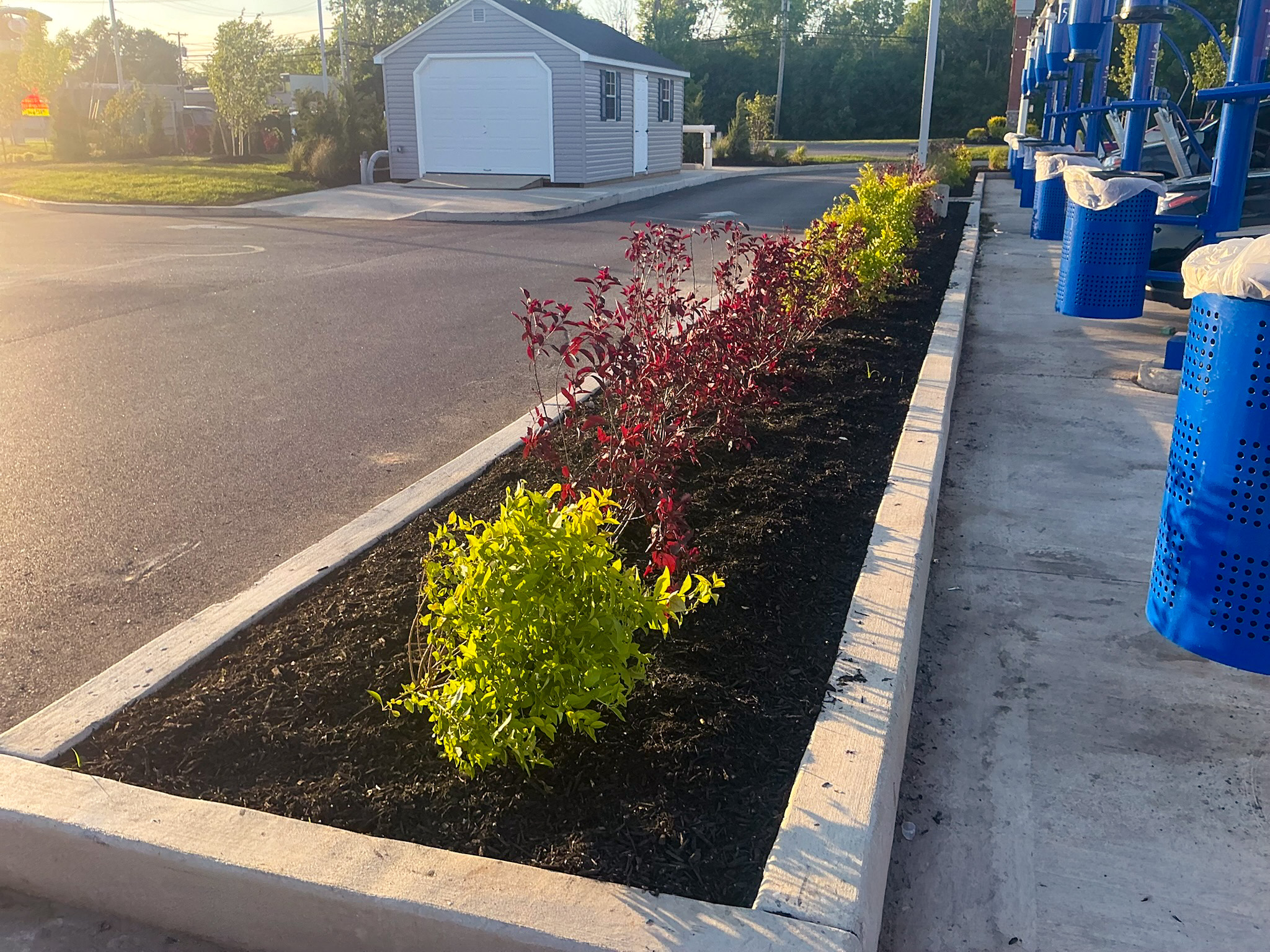 Delta Sonic West Henrietta landscape planting bed featuring colorful shrubs with red and yellow foliage, concrete edging, and mulch along parking circulation area.